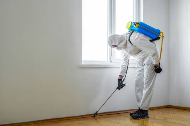 Best Pest Prevention Services  in Columbus, WI